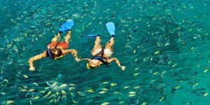snorkeling barbados