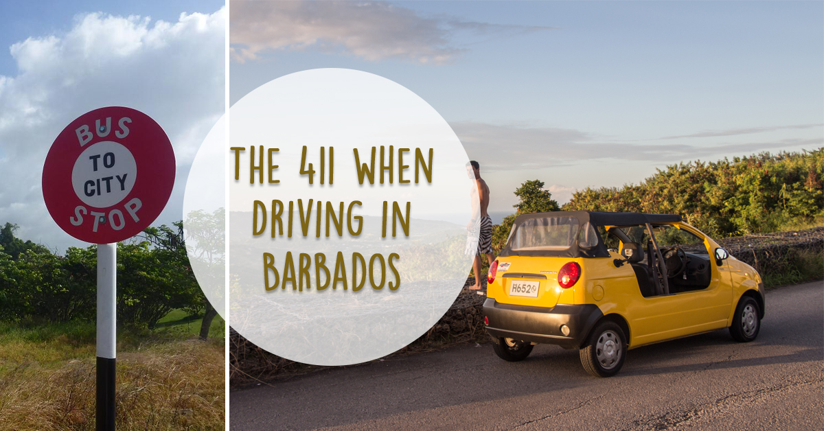 The 411 When Driving in Barbados Bougainvillea Barbados Blog