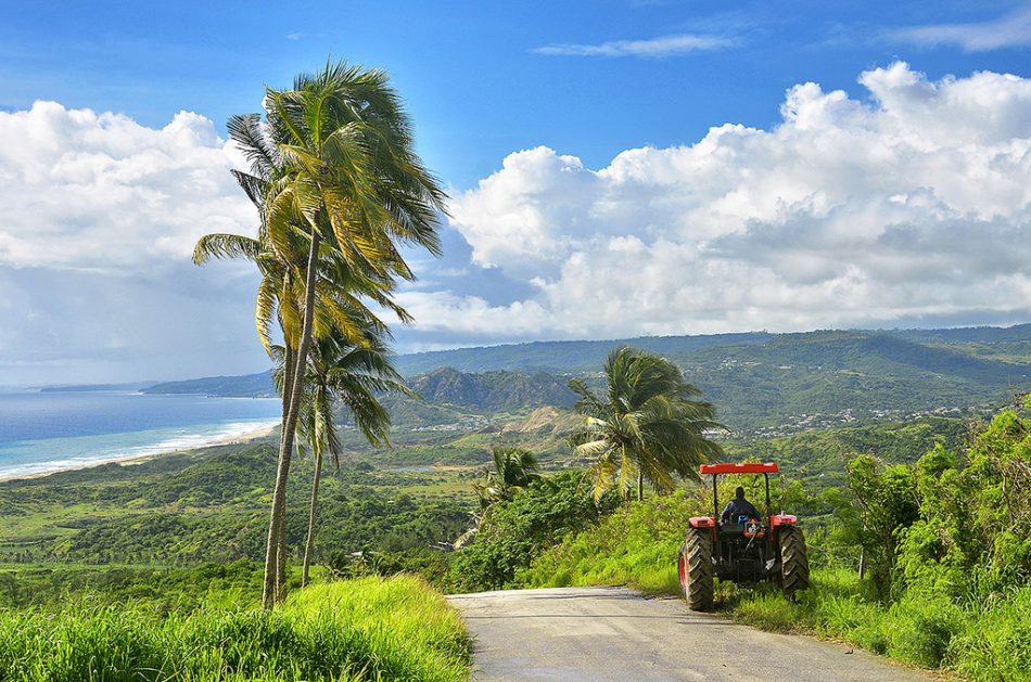 Beautiful Barbados