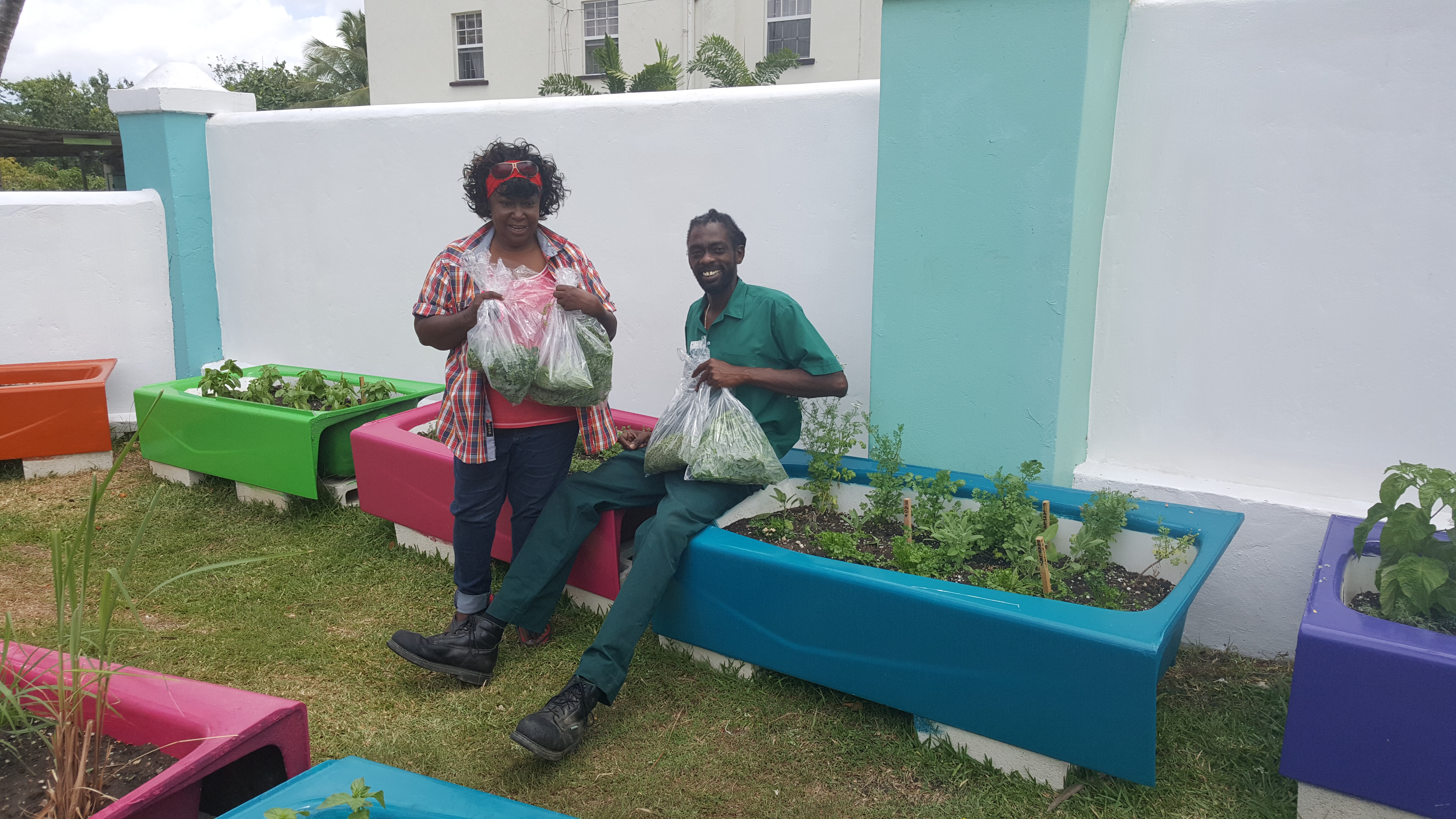 Bougainvillea Herb Garden