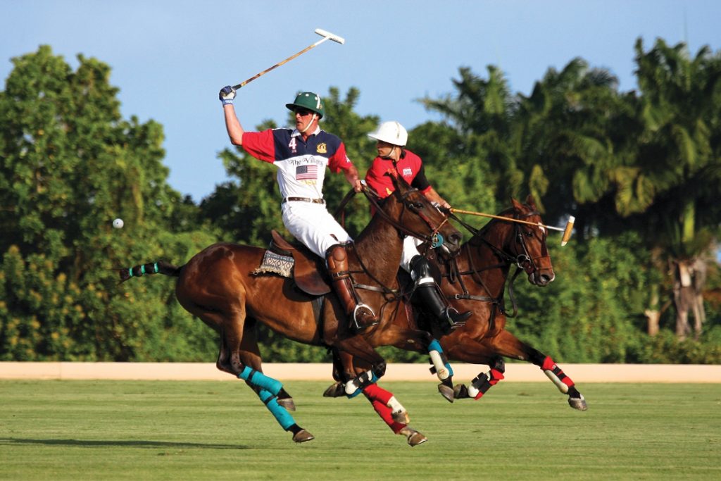 Barbados Polo Season