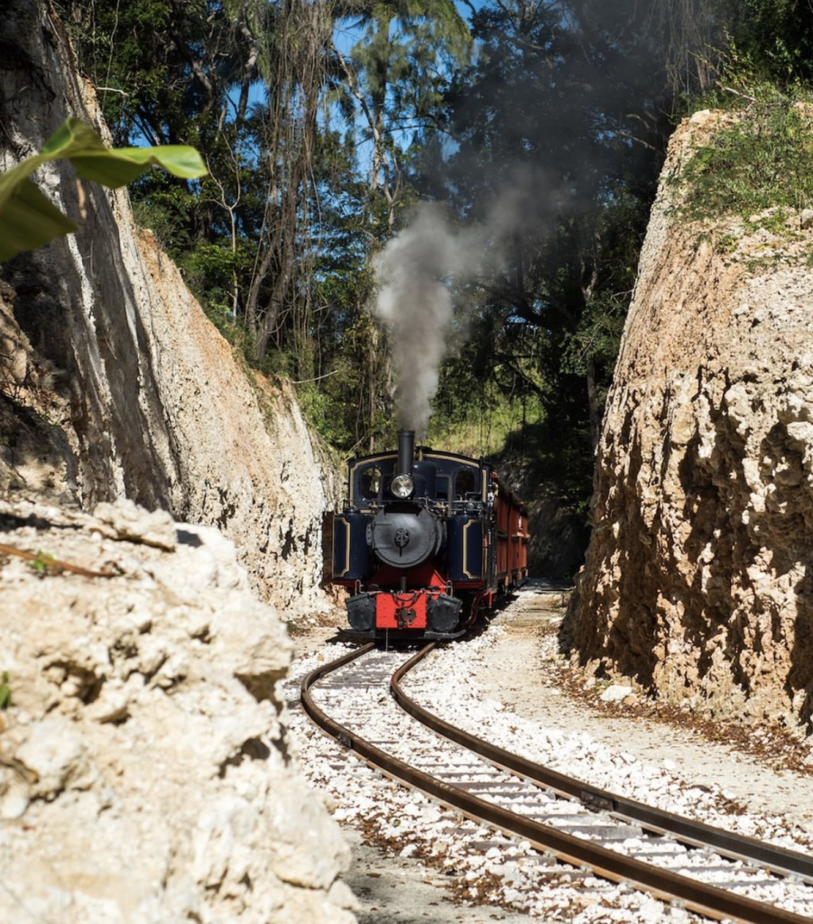 Barbados Train 